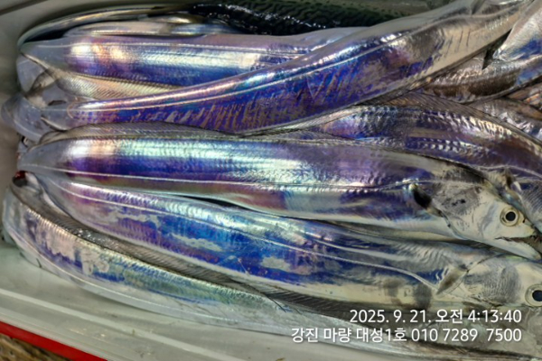 4fd5fe880e99a2ac075e9b8f216ecb4a.jpg
