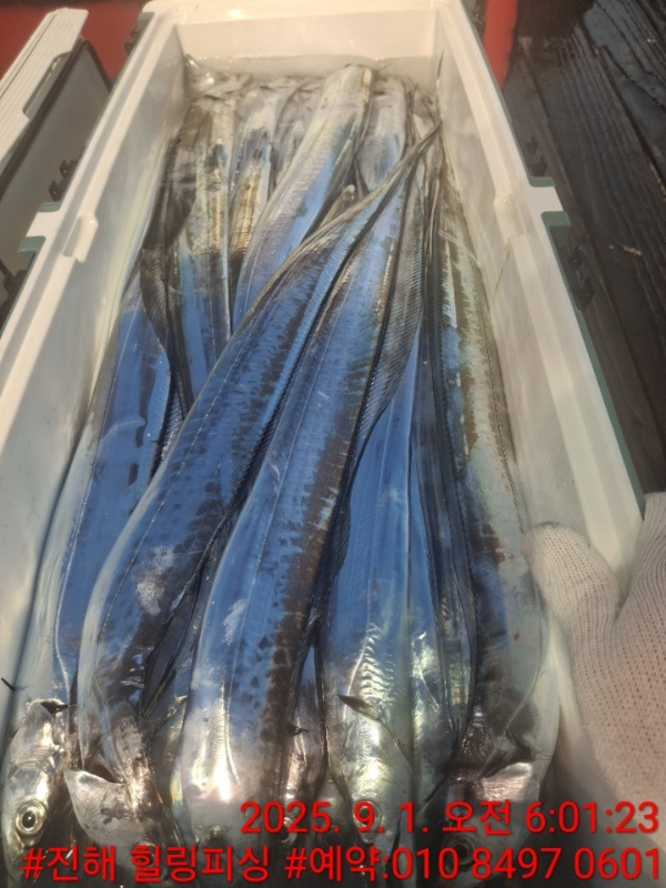 KakaoTalk_20250901_082511318_10.jpg