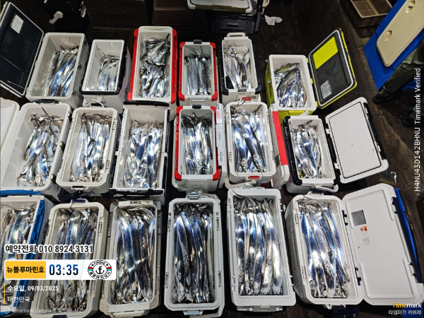 2025-09-03 03.35.18_대한민국_(제목-뉴블루마린호)_(예약전화 010 8924 3131).jpg