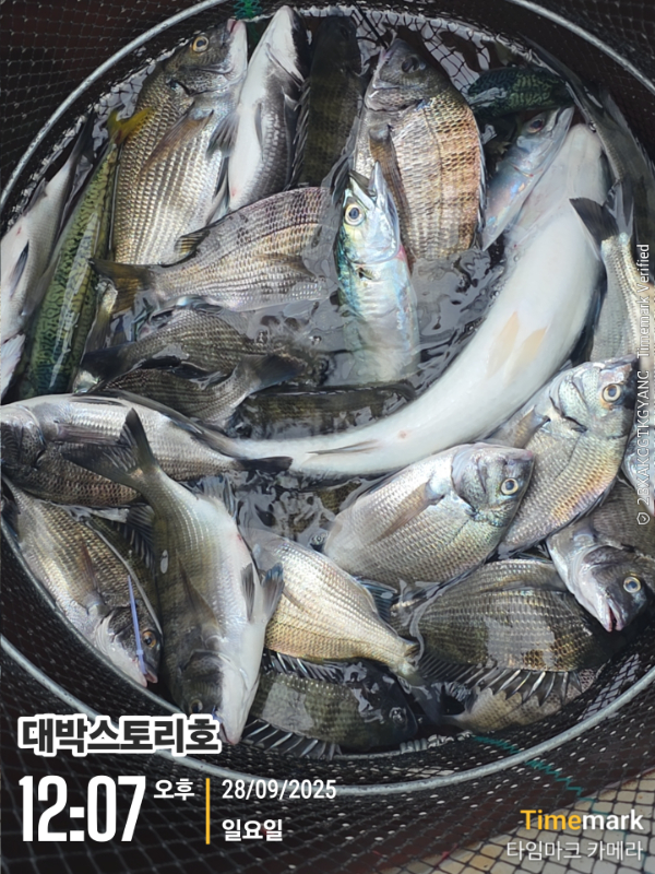 2025-09-28 12.07.45__(대박스토리호).jpg