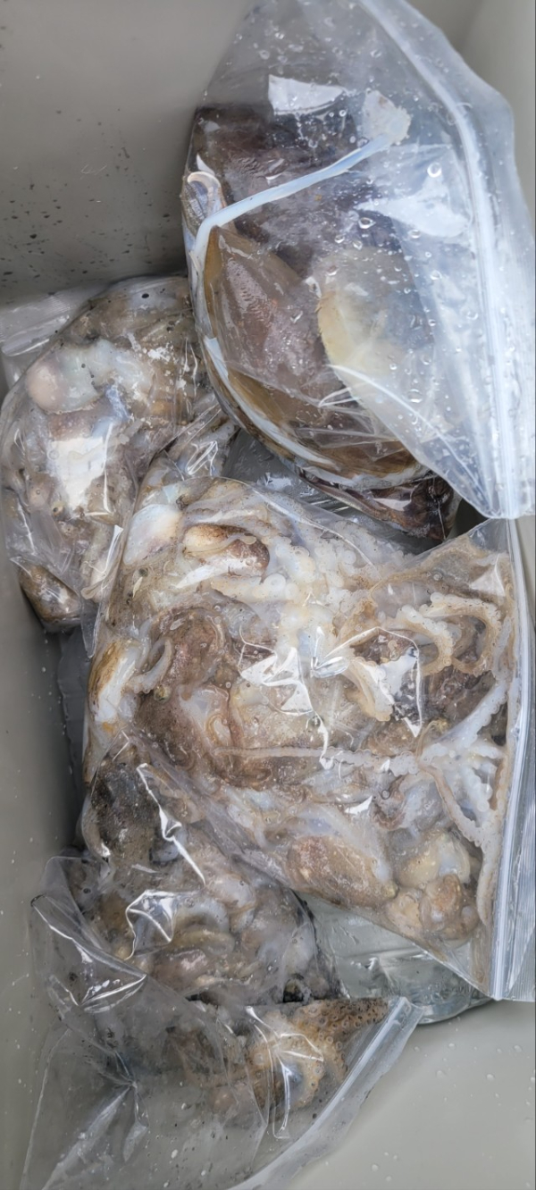 예지퀸호 농어외수질&어초낚시 경기인천권_사진_20250928_13.jpg