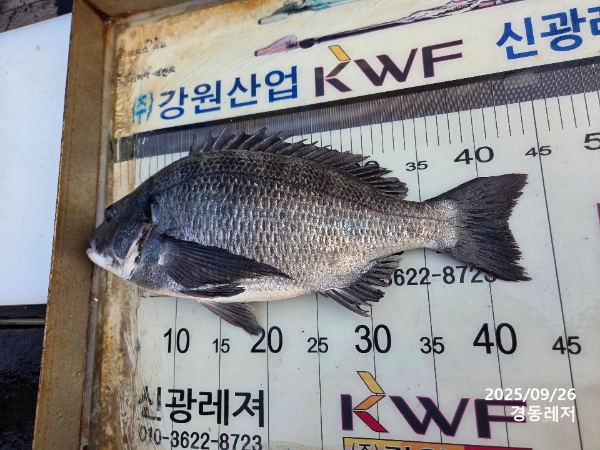 슬라이드0005.jpg