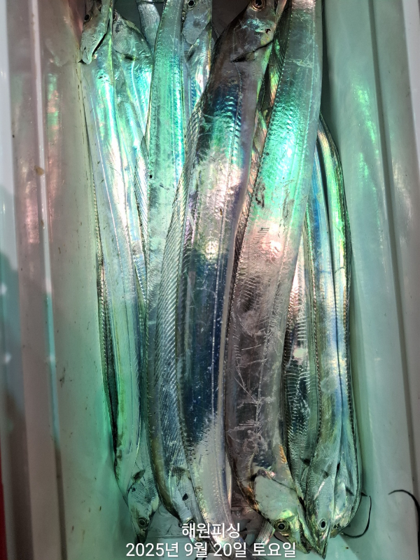1000028072.jpg