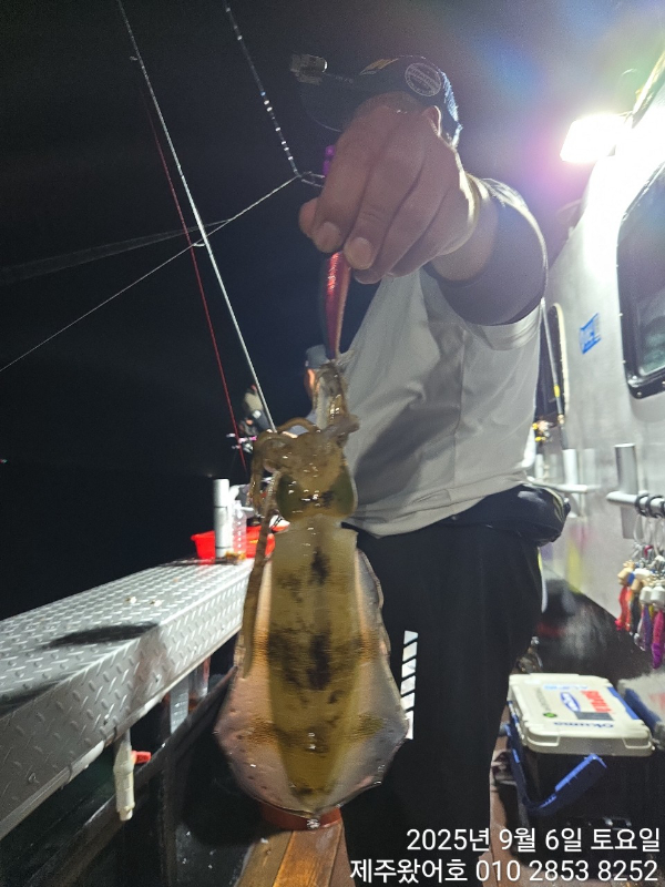 제주왔어호_사진_20250906_29.jpg
