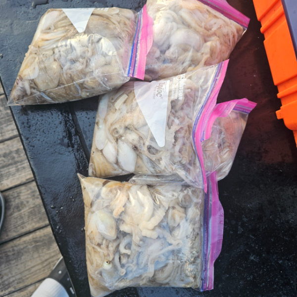 마검포 대한호(VIP)_사진_20250918_2.jpg