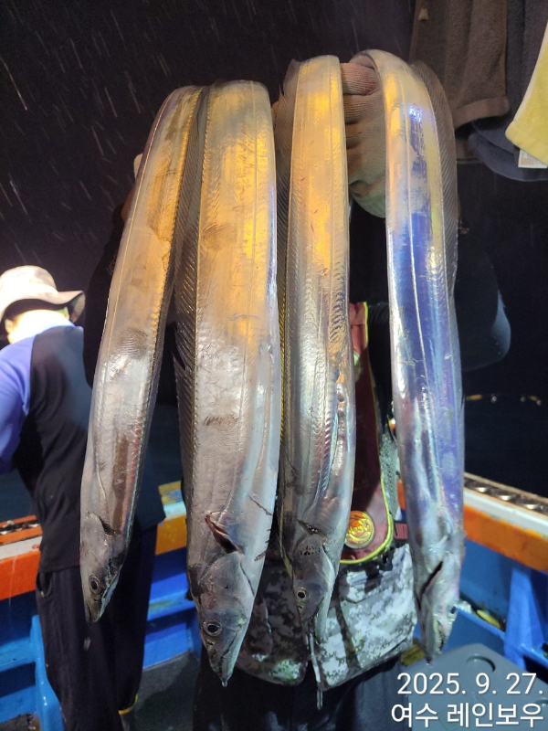 ♡여수레인보우♡갈치_열기_한치_갑오징어__사진_20250927_18.jpg