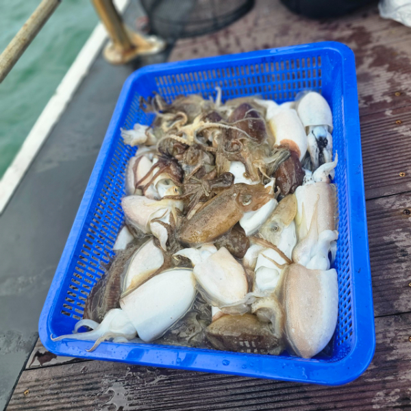 마검포 대한호(VIP)_사진_20250925_9.jpg