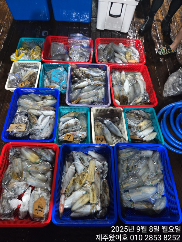 제주왔어호_사진_20250909_1.jpg