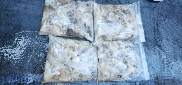 예지퀸호 농어외수질&어초낚시 경기인천권_사진_20250918_22.jpg