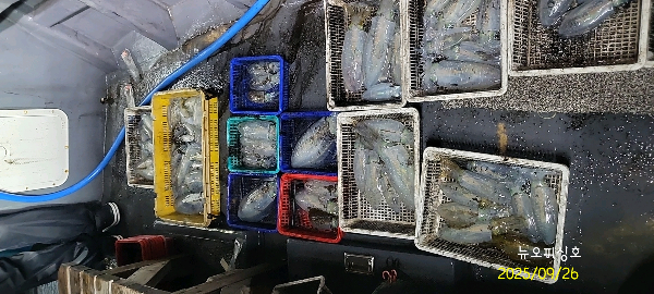 DateCamera0926003700.jpg