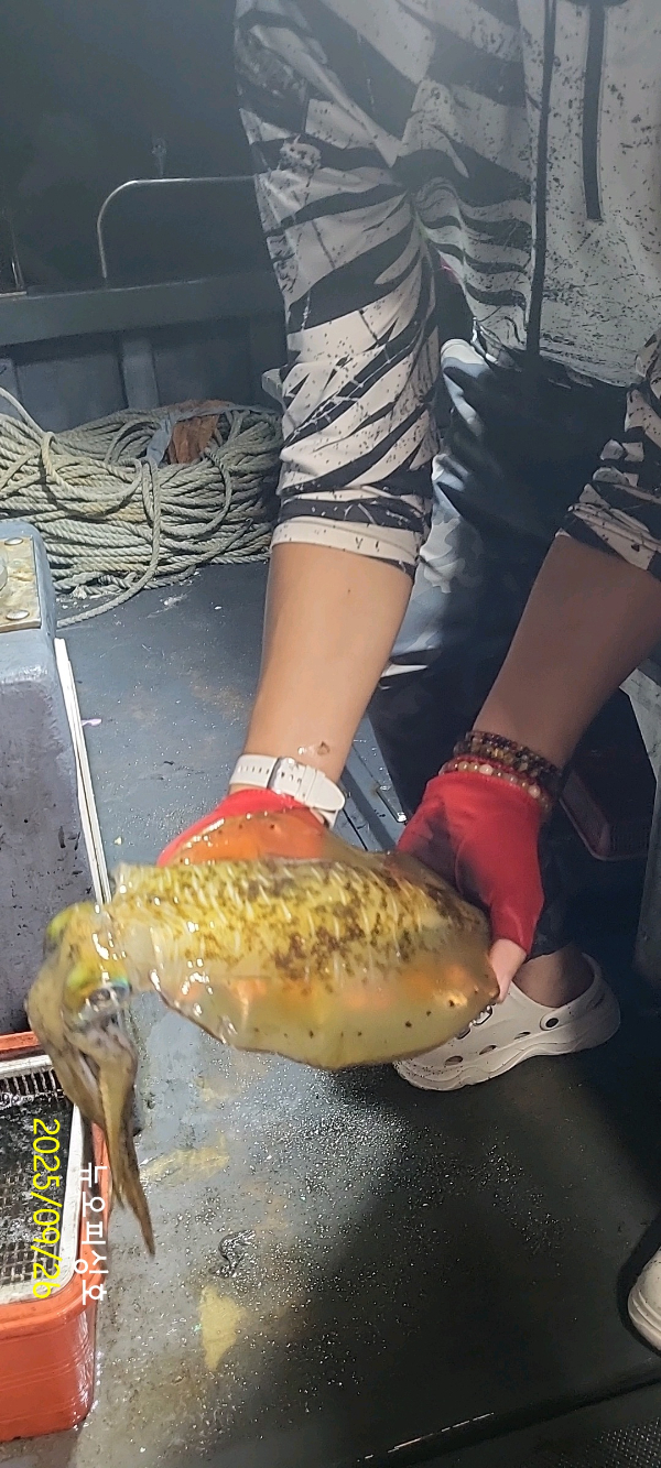 DateCamera0926192340.jpg