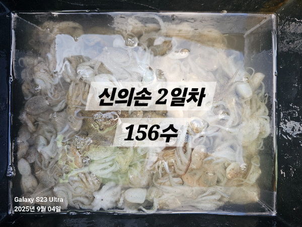 1000033148.jpg