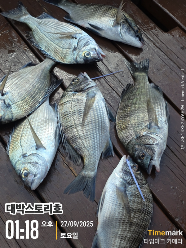 2025-09-27 01.18.01__(대박스토리호).jpg