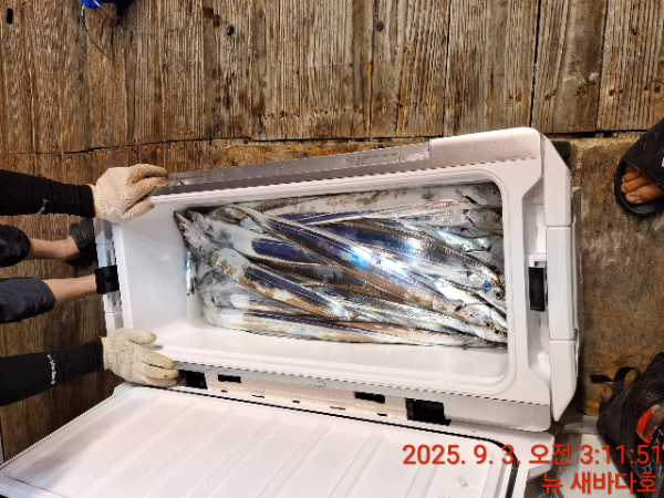 563de3dd50f681afb5b0385e1a4957b0.jpg