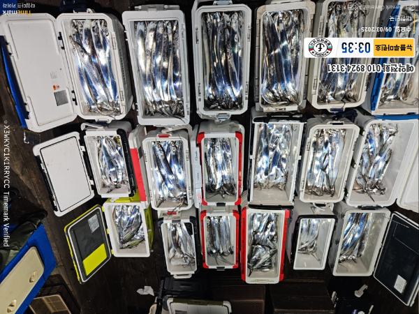 2025-09-03 03.35.19_대한민국_(제목-뉴블루마린호)_(예약전화 010 8924 3131).jpg