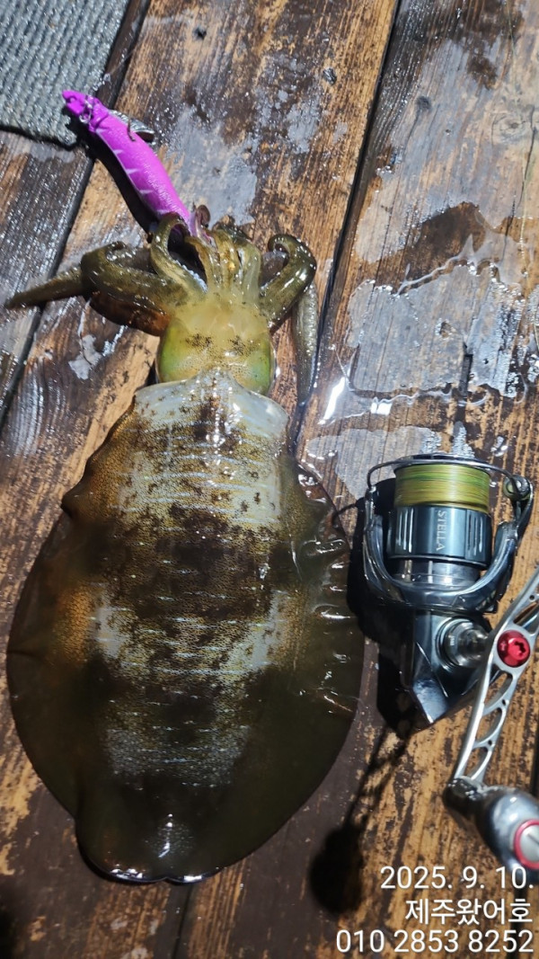 제주왔어호_사진_20250913_51.jpg