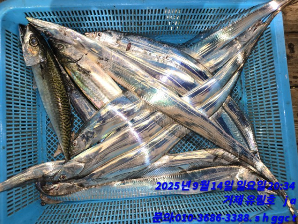57b0593350ab90bb25bfbe9a5dcfa4d1.jpg