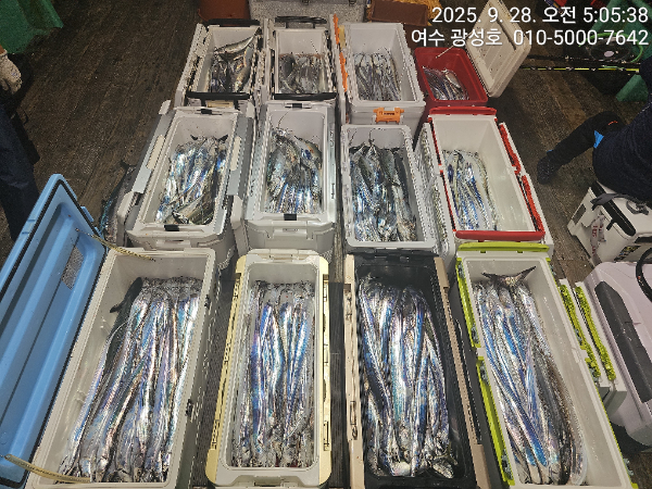 KakaoTalk_20250928_162921439_18.jpg