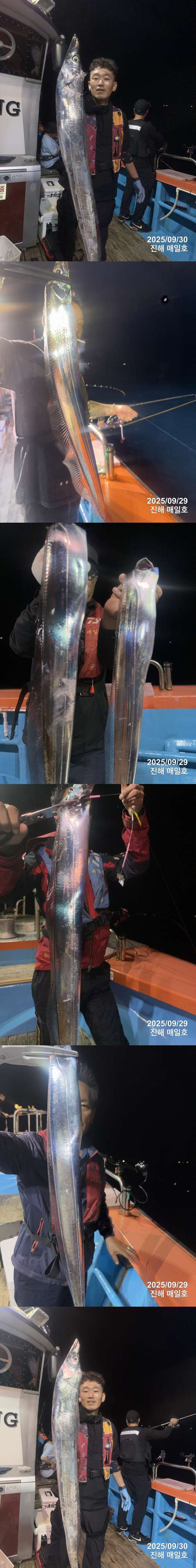갈치1.jpg