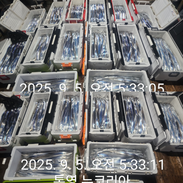 1000071542.jpg