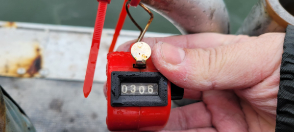 예지퀸호 농어외수질&어초낚시 경기인천권_사진_20250916_19.jpg