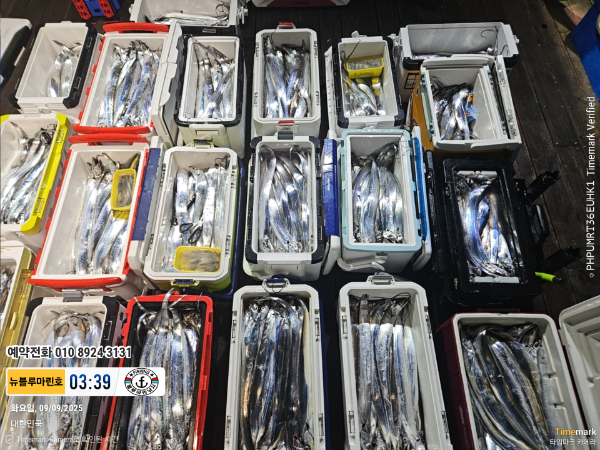 2025-09-09 03.39.46_대한민국_(제목-뉴블루마린호)_(예약전화 010 8924 3131).jpg