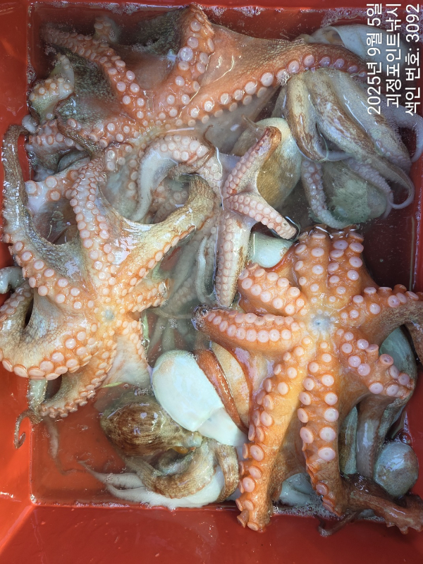 KakaoTalk_20250905_151440408_09.jpg