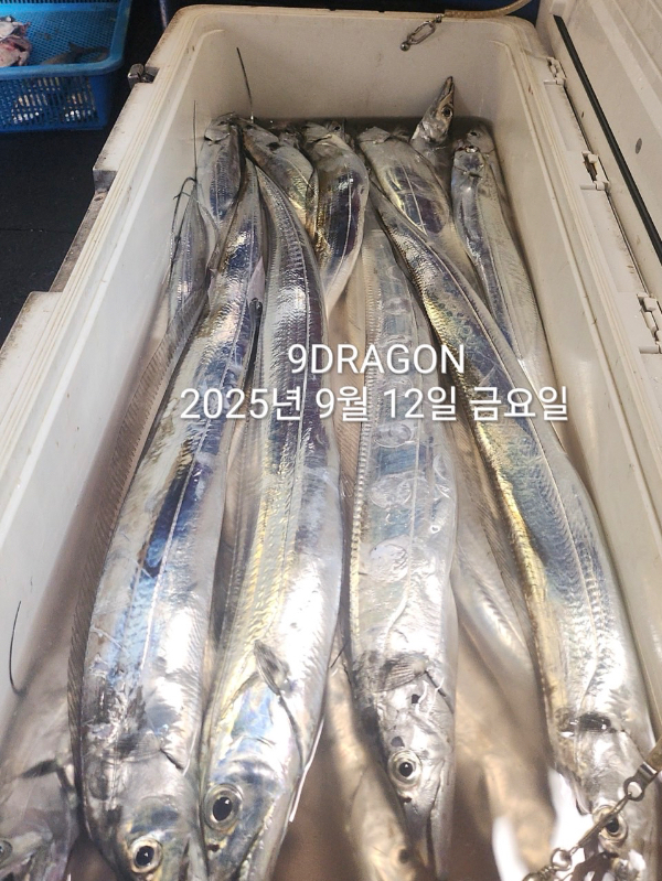 CAA74325-88C6-4E0C-8EFE-EC7E6A1C9E29.jpeg