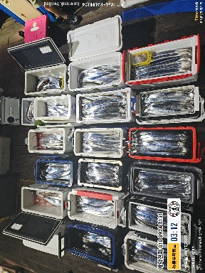 2025-09-17 03.12.04_Japan_(제목-뉴블루마린호)_(예약전화 010 8924 3131).jpg