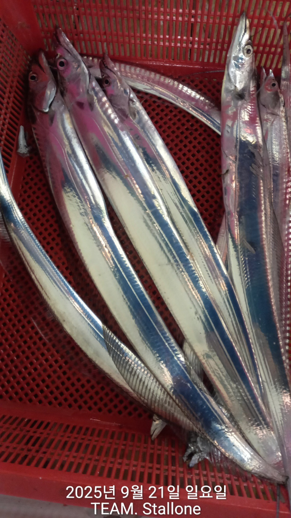 1000047823.jpg