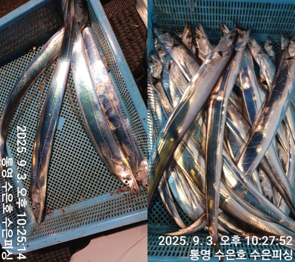 1756931945408-tile.jpg