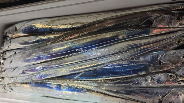 1759001210010.jpg