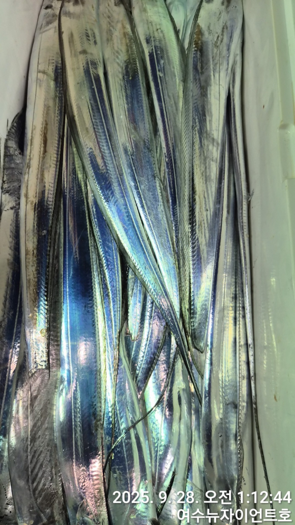1759006691461-27.jpg