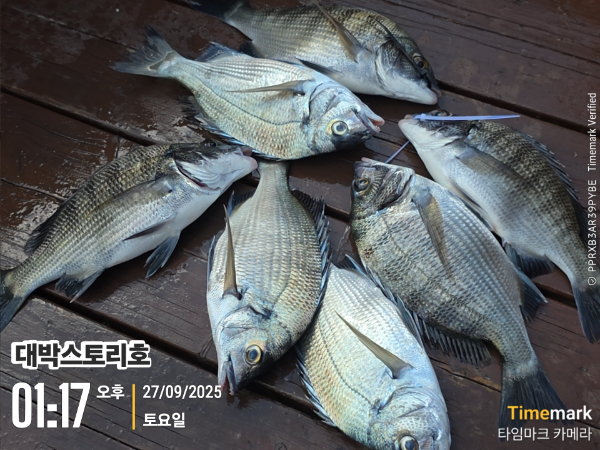 2025-09-27 01.17.47__(대박스토리호).jpg