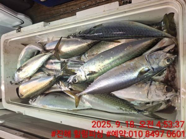 KakaoTalk_20250918_142033159_07.jpg