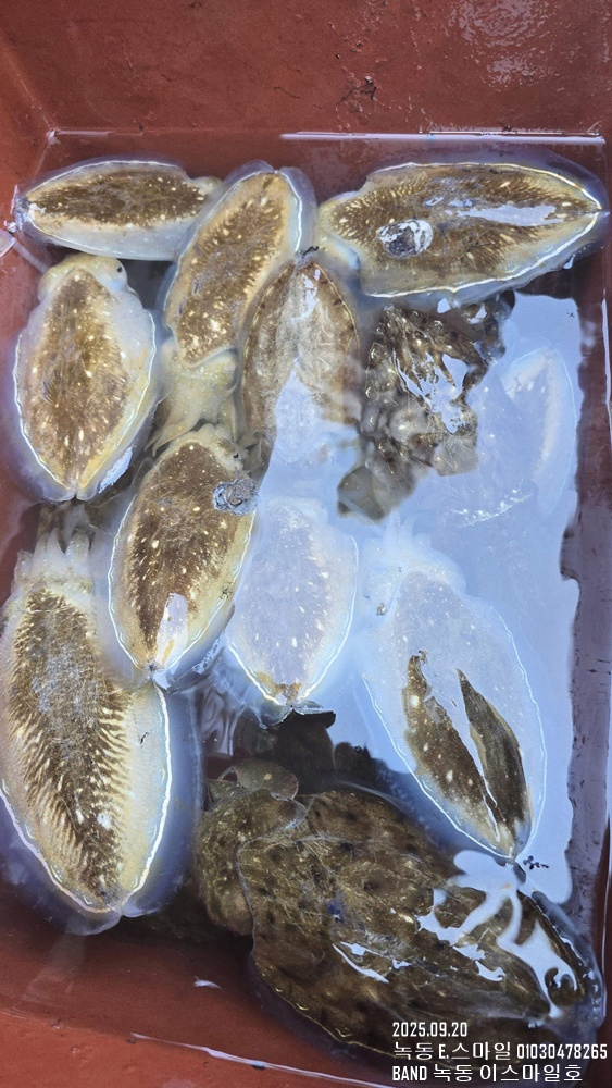 KakaoTalk_20250920_184227060_14.jpg