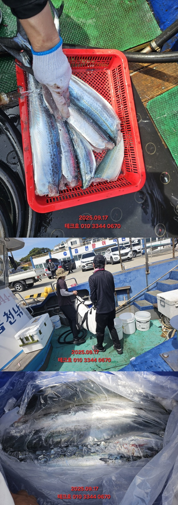 KakaoTalk_20250917_114849564_21-vert.jpg