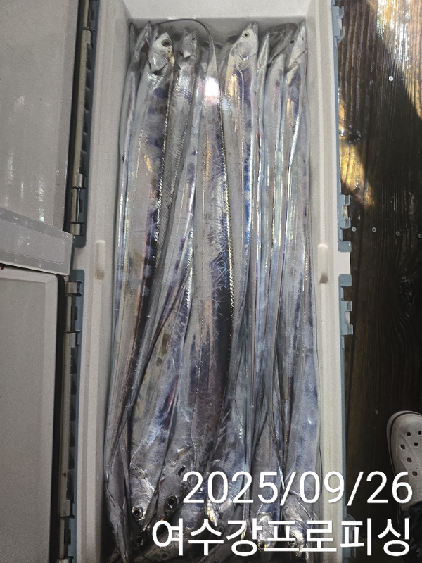 5e2b8ba6ac70da1578cf060b97073b85.jpg