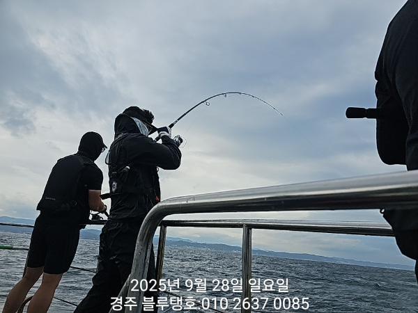 1000051159.jpg