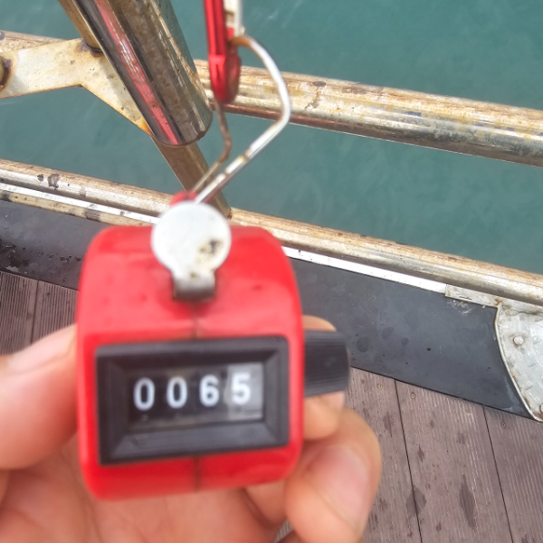 마검포 대한호(VIP)_사진_20250927_2.jpg