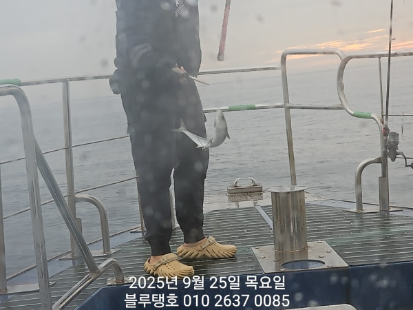 20250925_070529.jpg