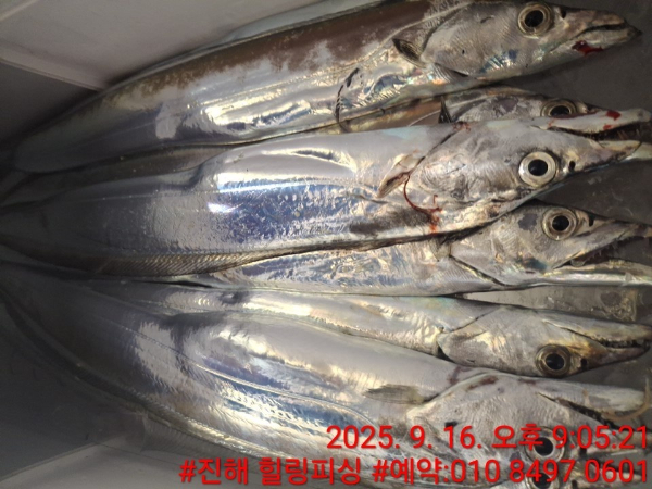 KakaoTalk_20250916_225227012.jpg
