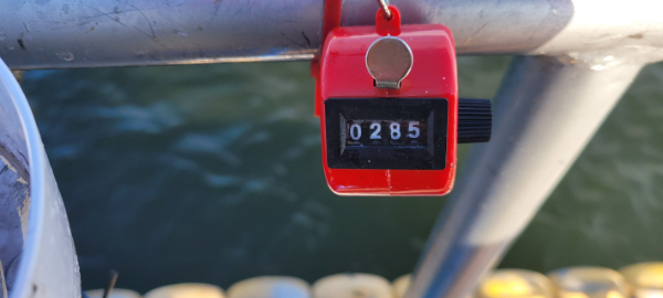 예지퀸호 농어외수질&어초낚시 경기인천권_사진_20250902_3.jpg