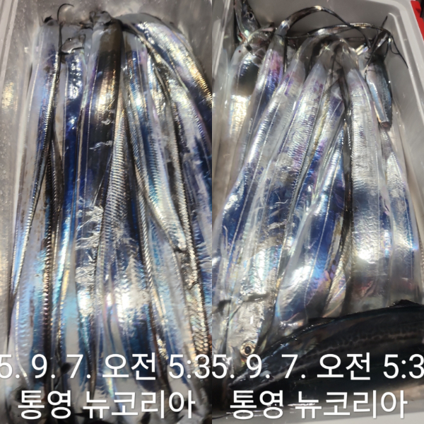 1000071703.jpg
