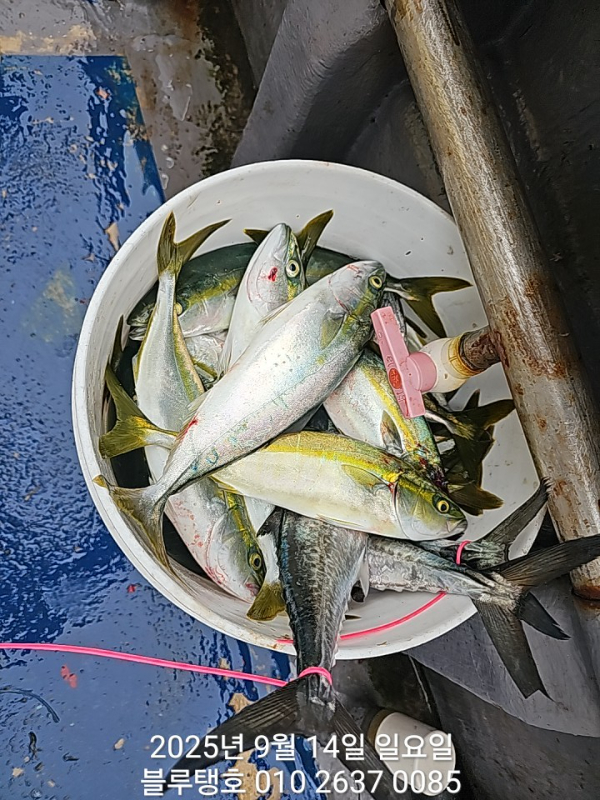 20250914_112421.jpg