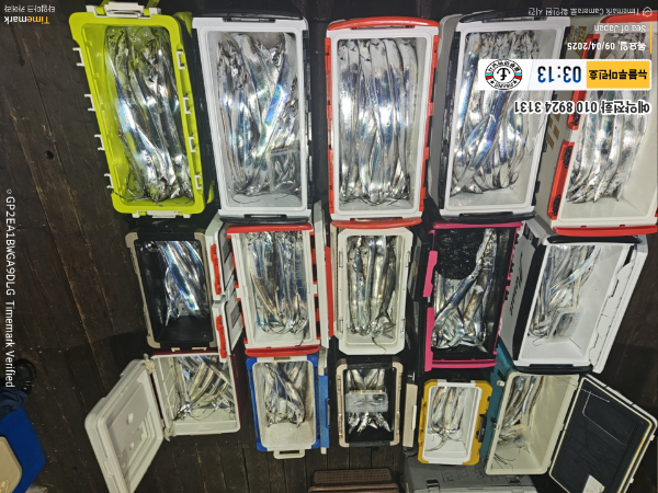 2025-09-04 03.13.30_Japan_(제목-뉴블루마린호)_(예약전화 010 8924 3131).jpg