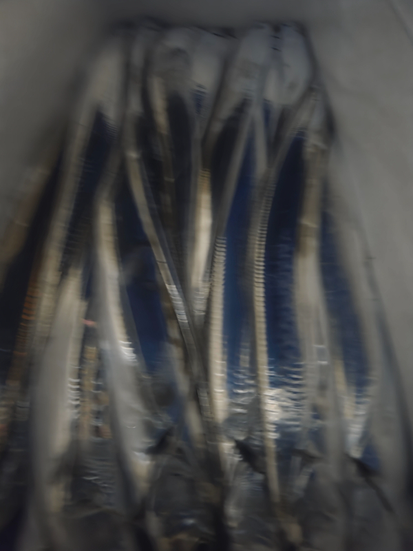 Resized_20250916_043752.jpeg