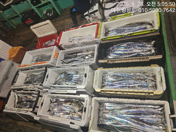 KakaoTalk_20250928_162921439_16.jpg