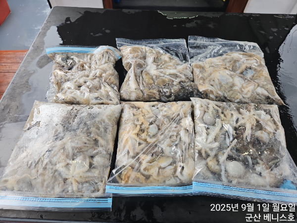 61cc2a027ac343e4dead6b75a398babd.jpg