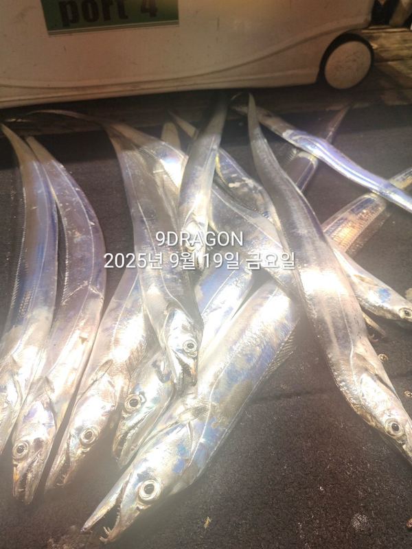 D14A3D5B-DA92-49EC-925E-11D5873CC87B.jpeg